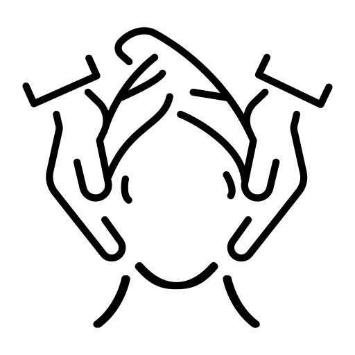 Icono de rostro